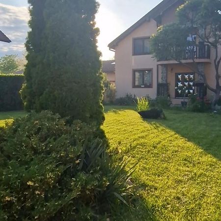 Celeste House Sibiu Exterior foto