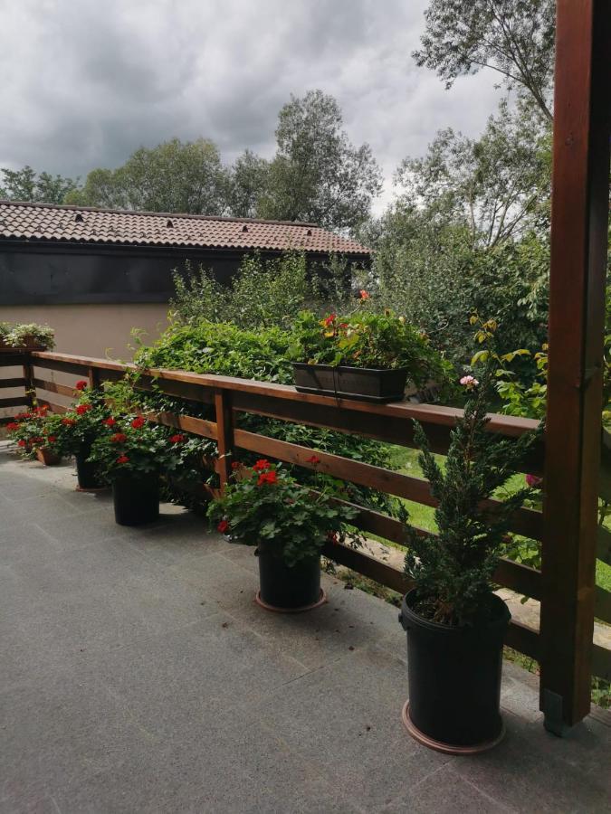 Celeste House Sibiu Exterior foto